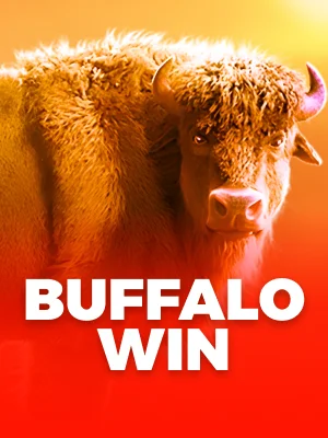 Buffalo Win